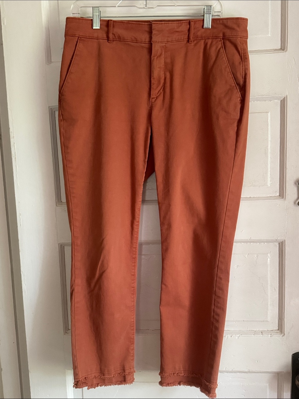 LOFT Rust Cotton Chino Pants - Classic Straight Fit